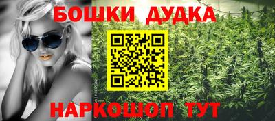 стаф Аргун